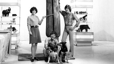 The Blue Peter presenters Valerie Singleon (left), John Noakes (centre) and Peter Purves with the Slit-gong in the BBC Studio